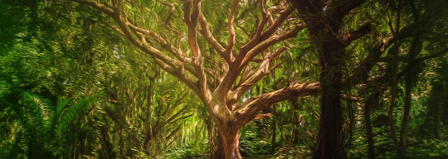 Image of a forest, with light shining upon the central majestic tree. from the canopy above